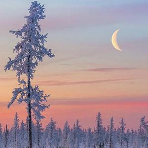 落榜生公共便利器七条
